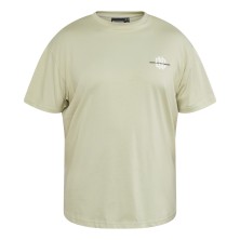 T-shirt NORTH LATITUDE z logo na piersi jasnozielony