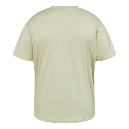 T-shirt NORTH LATITUDE z logo na piersi jasnozielony