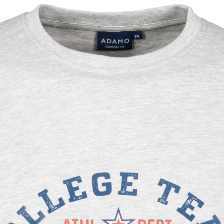 T-shirt ADAMO z nadrukiem NEW YORK szary